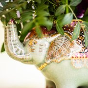 Restaurant Bad Wimpfen